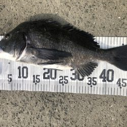 イチノ兄弟、釣果!