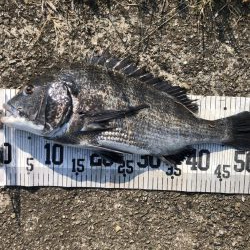 イチノ兄弟、釣果！