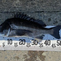 イチノ兄弟、釣果!