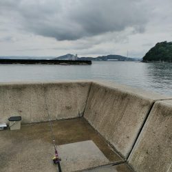 本日も五目釣り