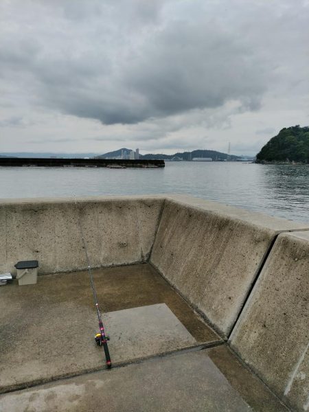 本日も五目釣り