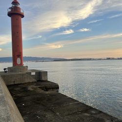 雨後のタコ釣り