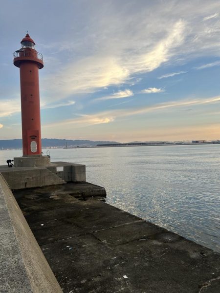 雨後のタコ釣り