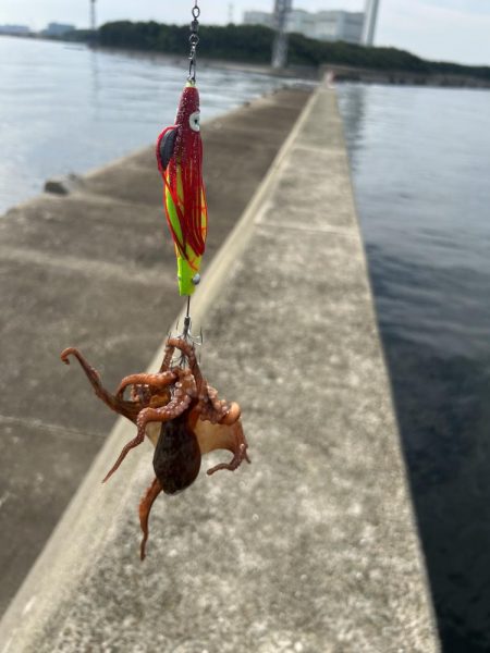 渡船後の蛸釣り修行