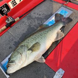 北山田ロクマル