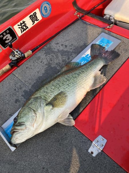 北山田ロクマル