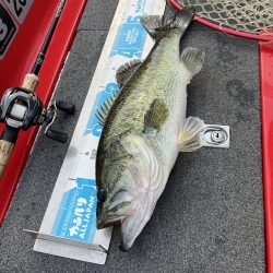 北山田50〜40cm3発