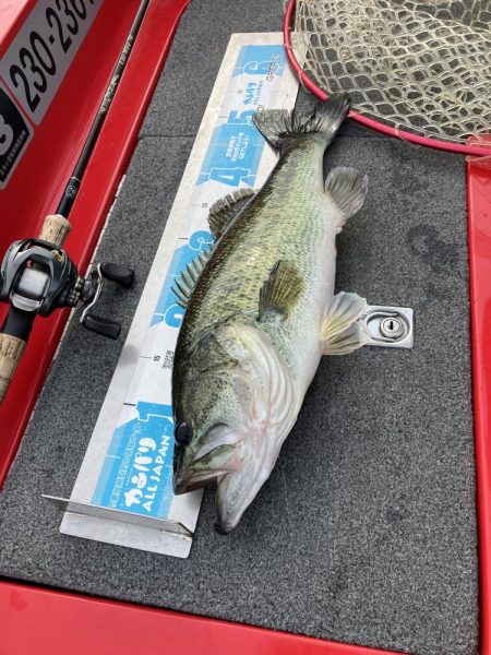 北山田50〜40cm3発