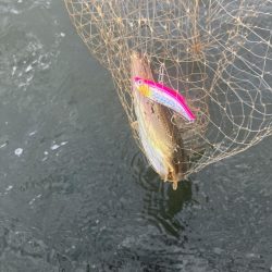 計画休暇初日や