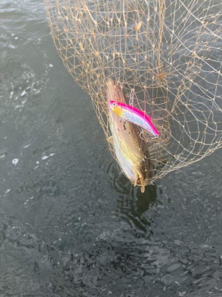 計画休暇初日や