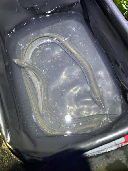 ★★リベンジ大成功★★