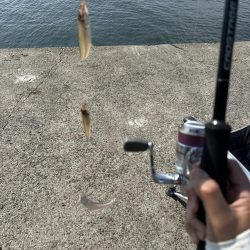 ★★短時間でもキス入れ食い★★