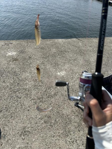 ★★短時間でもキス入れ食い★★