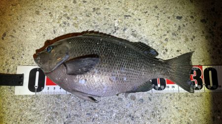 グレング好調！