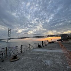 人が多いけど豆アジげきしぶ　