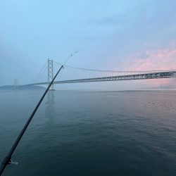 サビキ五目釣り