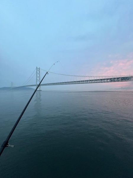 サビキ五目釣り