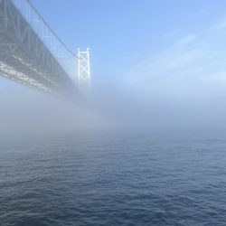 濃霧　おせん日和