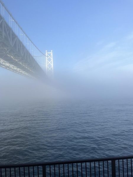 濃霧　おせん日和