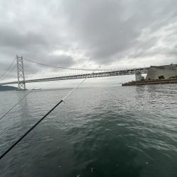 豆アジ回遊あり