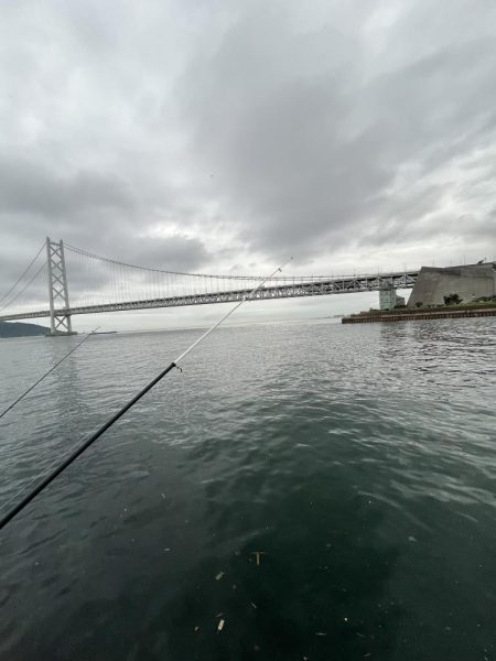 豆アジ回遊あり