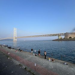 豆アジ回遊中！！