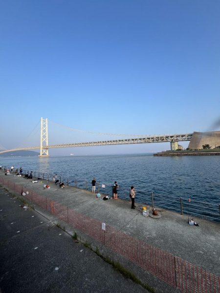 豆アジ回遊中！！