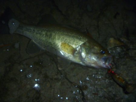 ぽつぽつ雨バス