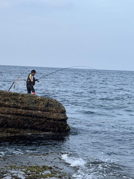 和歌山市江（吉丸渡船）でグレ釣り