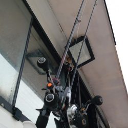 今季初イカメタル