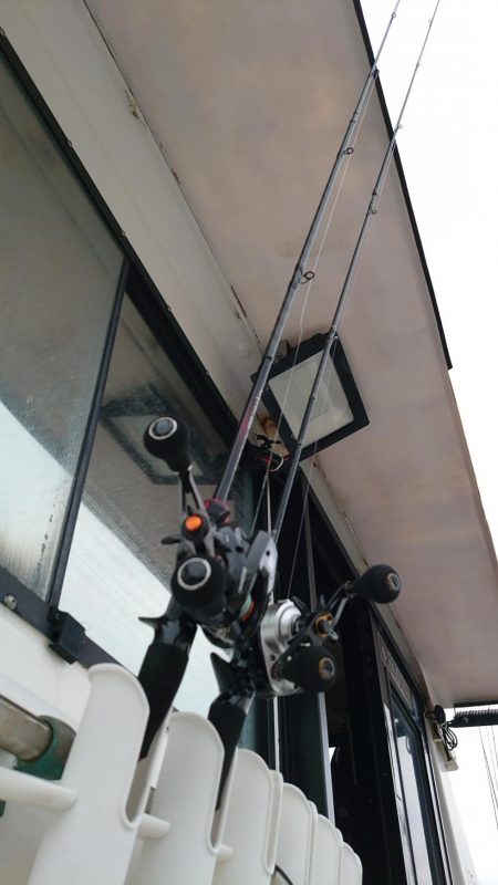 今季初イカメタル