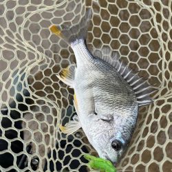 雨も上がったので…