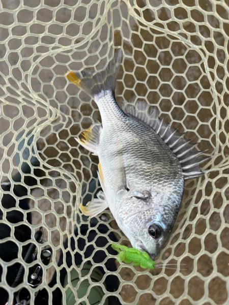 雨も上がったので…