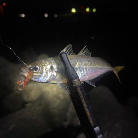 激渋ライトゲーム