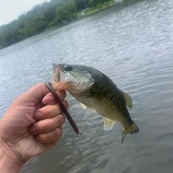 今年初バス⭐︎