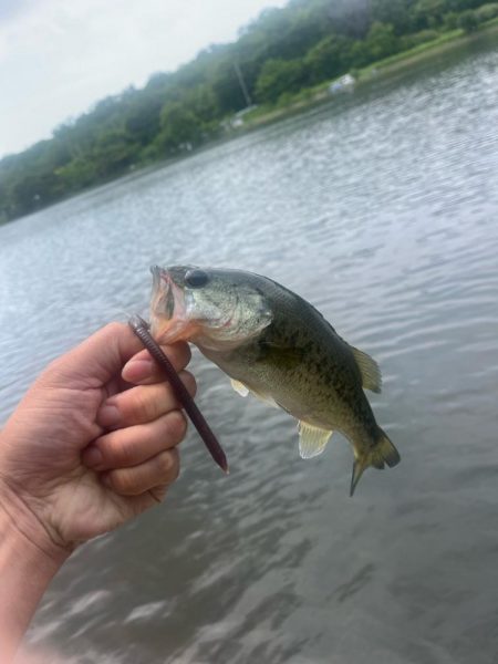今年初バス⭐︎