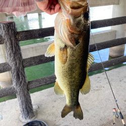 真昼間でもナイスサイズ