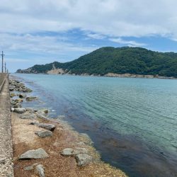 ライトエサ釣り　五目チャレンジ