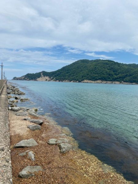 ライトエサ釣り　五目チャレンジ