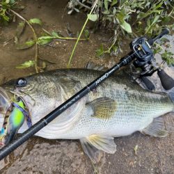 淀川モンスター！