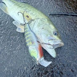 大雨の後の夕まずめ