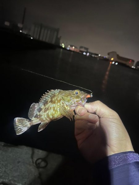 アジング修行！