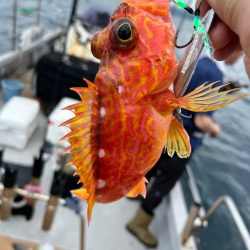 過去一不満な結果。