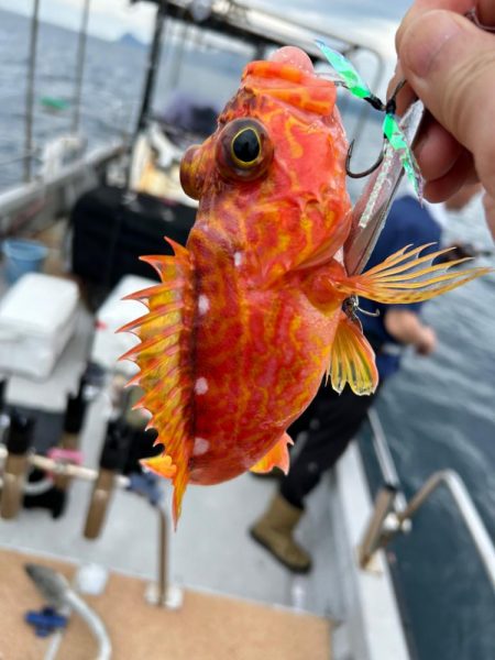 過去一不満な結果。