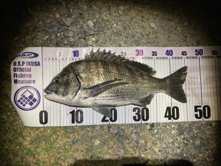 ナイトチニング