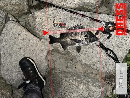 ベイトがいい感じです遡上してきたみたい…狙いますよ、シーバスくんを！