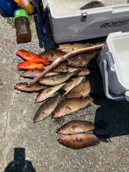 ロックフィッシュ