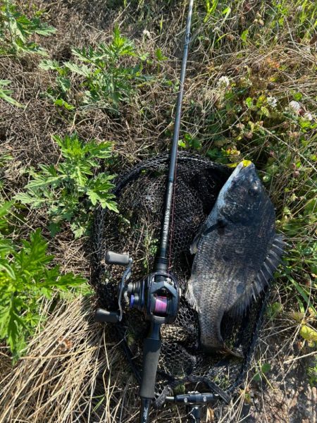 チニングデイゲーム