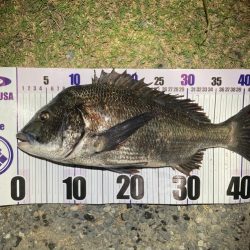 ナイトチニング