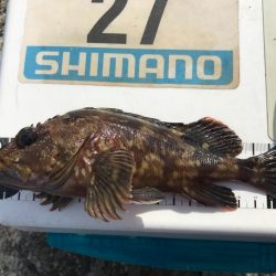 遅いというよりおかしい…